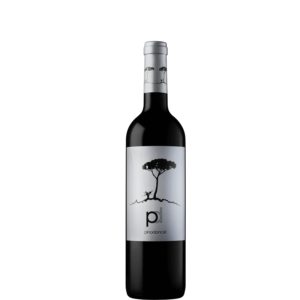 PINO DONCEL BLACK
