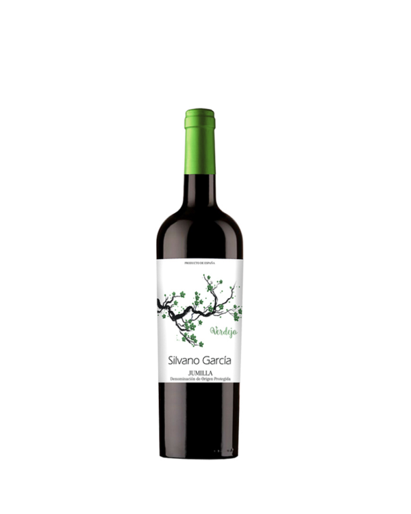 SILVANO GARCÍA VERDEJO